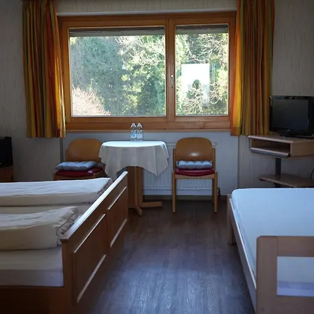Tsingdao Hörbranz